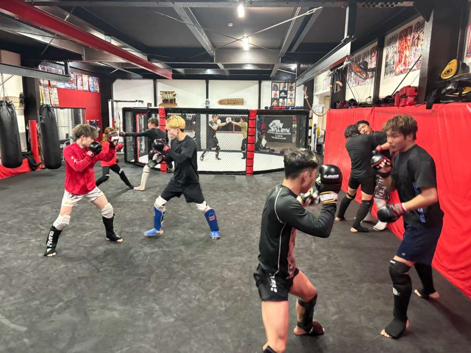 【火曜練習】燕#4870