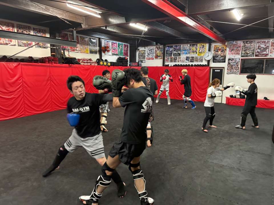 【水曜練習】燕#4871見附#446