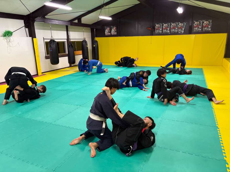 【金曜練習】燕#4873見附#447