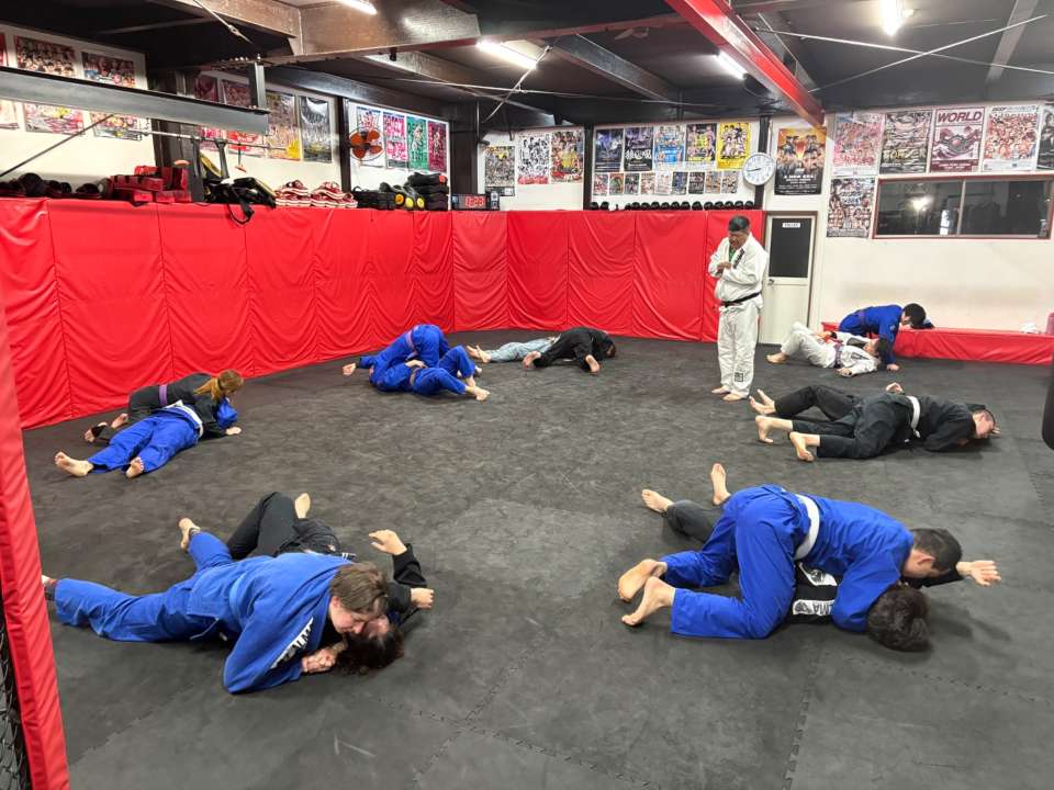 【月曜練習】燕#4876見附#448