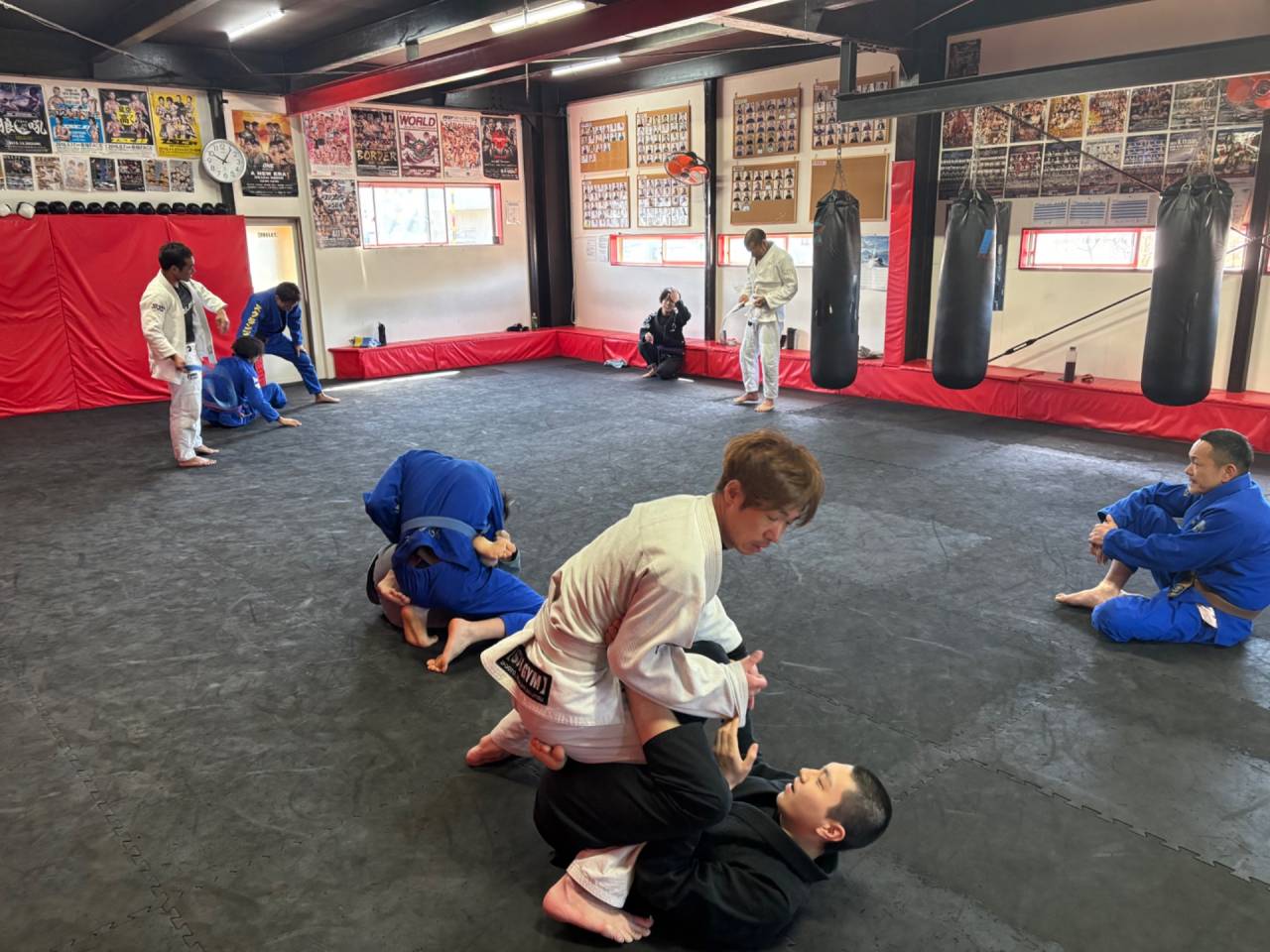 【日曜練習】燕#4882